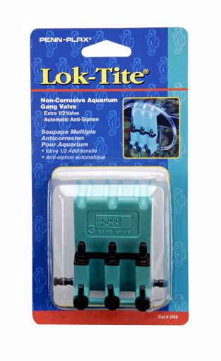 Picture of 3 IN. GANG LOK-TITE PLASTIC VALVE W/HANGER