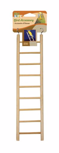 Picture of WOODEN LADDER - 9 STEP