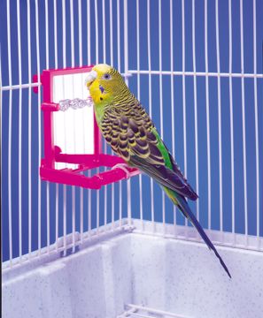 Picture of LANDING PERCH W/MIRROR AND BEADS BIRD TOY