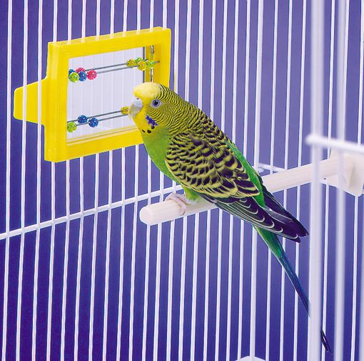 Picture of MIRROR WITH BEADS BIRD TOY