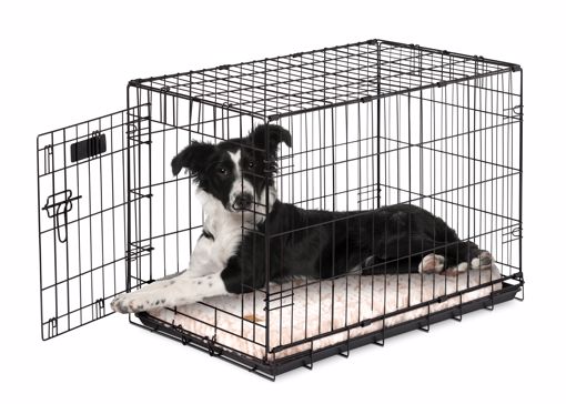 General Pet | 30X19X21 PRO VALU SNGL DOOR CRATE W/PAN