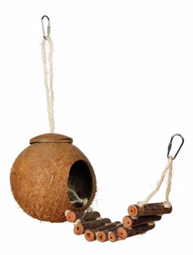 Picture of NATURALS COCO HIDEAWAY WITH LADDER BIRD TOY