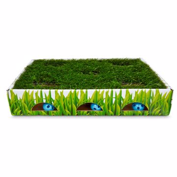 Picture of GRASS PATCH HUNTING BOX