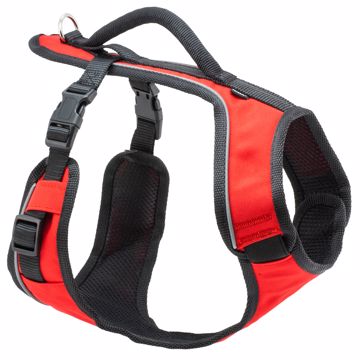 Picture of LG. EASYSPORT HARNESS - RED
