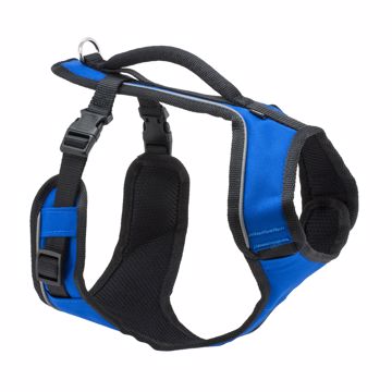 Picture of XS. EASYSPORT HARNESS - BLUE