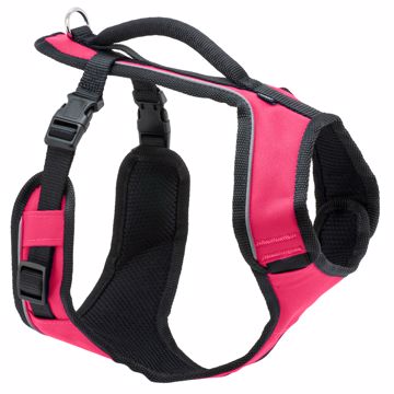 Picture of XS. EASYSPORT HARNESS - PINK