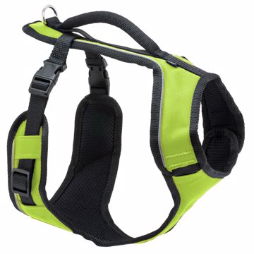Picture of XS. EASYSPORT HARNESS - APPLE