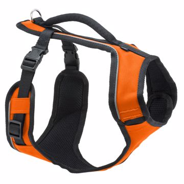 Picture of SM. EASYSPORT HARNESS - ORANGE