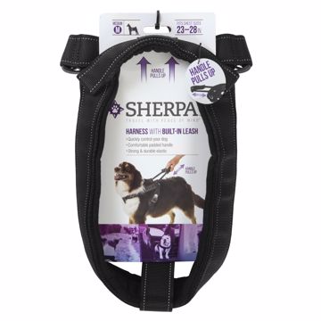 Picture of MED. SHERPA DOG HARNESS WITH BUILT IN LEASH - BLACK