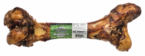 Picture of MAMMOTH BONE - MOQ 6