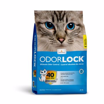 Picture of 25 LB. ODOR LOCK LITTER