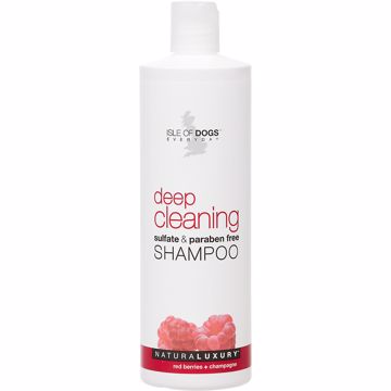 Picture of 16 OZ. CLEAN SHAMPOO