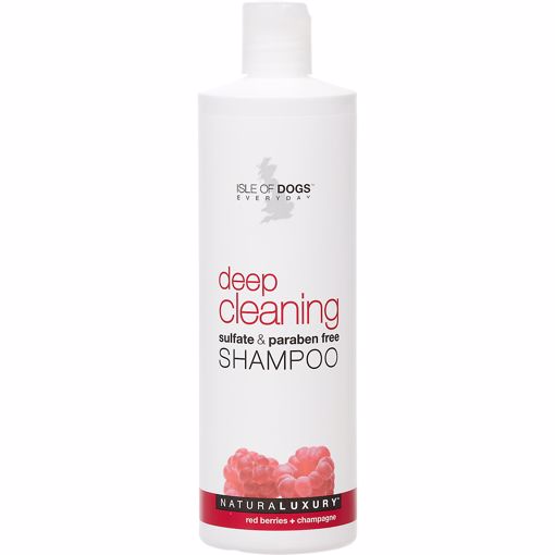 Picture of 16 OZ. CLEAN SHAMPOO