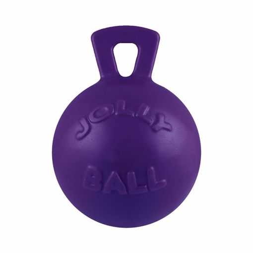 Picture of 6 IN. JOLLY BALL W/HANDLE - PURPLE