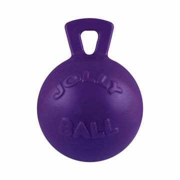 Picture of 4.5 IN. JOLLY BALL W/HANDLE - PURPLE