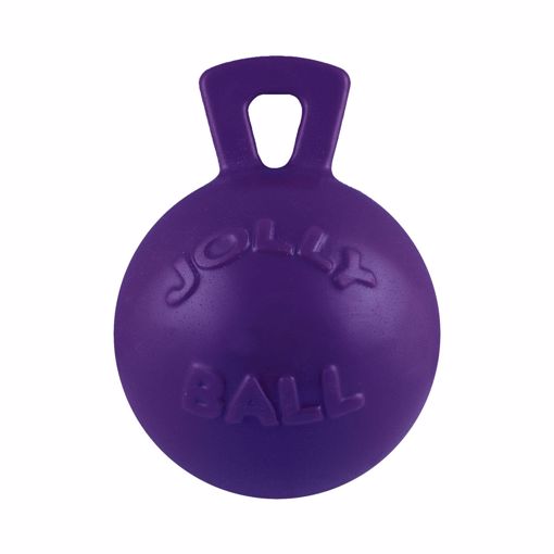 Picture of 10 IN. JOLLY BALL W/HANDLE - PURPLE