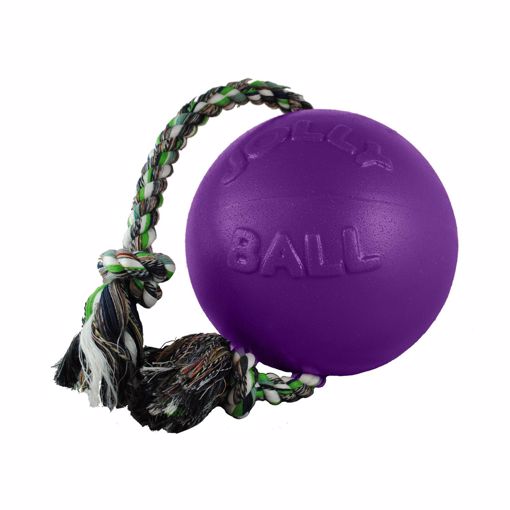 Picture of 4.5 IN. ROMP-N-ROLL JOLLY BALL - PURPLE