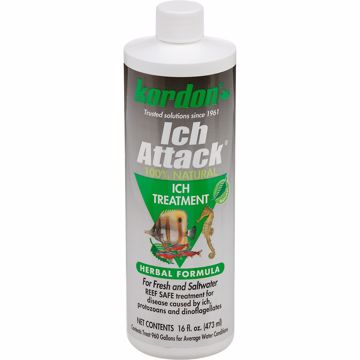 Picture of 16 OZ. ICH ATTACK DISEASE INHIBITOR