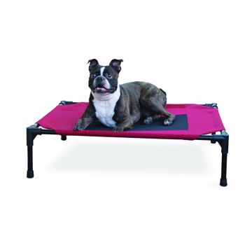 Picture of MED. 25IN.X32IN. CREATIVE SOLUTIONS ELEVATED PET BED - RED