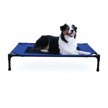 Picture of 30X42 IN. ELEVATED PET BED - NAVY BLUE