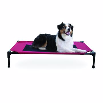 Picture of LG. 30IN.X42IN. CREATIVE SOLUTIONS ELEVATED PET BED - RED