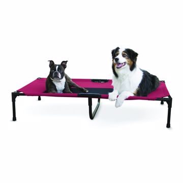 Picture of XL. 32IN.X50IN. CREATIVE SOLUTIONS ELEVATED PET - RED