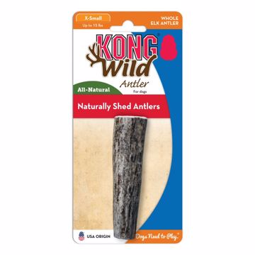 Picture of XS. WILD ANTLER WHOLE
