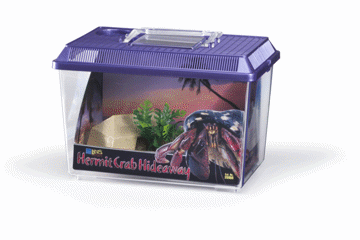 Picture of HERMIT CRAB HIDEAWAY KIT