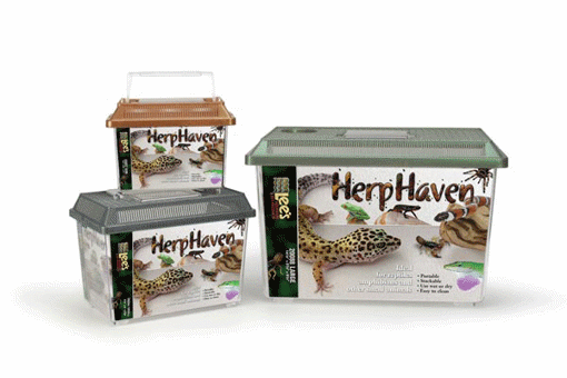 Picture of MINI HERP HAVEN - RETANGLE