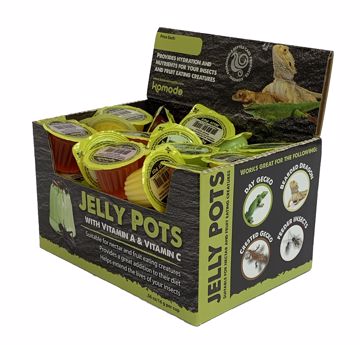 Picture of 40/.56 OZ. JELLY POTS FRUIT