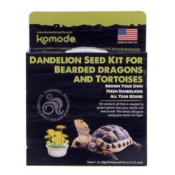 Picture of GROW YOUR OWN DANDELION