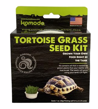 Picture of GROW YOUR OWN TORTOISE GRASS