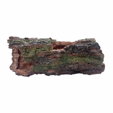 Picture of LG. FOREST LOG