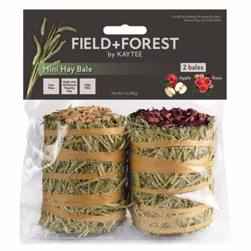 Picture of 7 OZ. FIELD & FOREST MINI HAY BALES - APPLE/ROSE 2 PK.