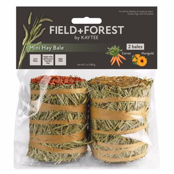 Picture of 7 OZ. FIELD & FOREST MINI HAY BALES - CARROT/MARIGOLD 2 PK.