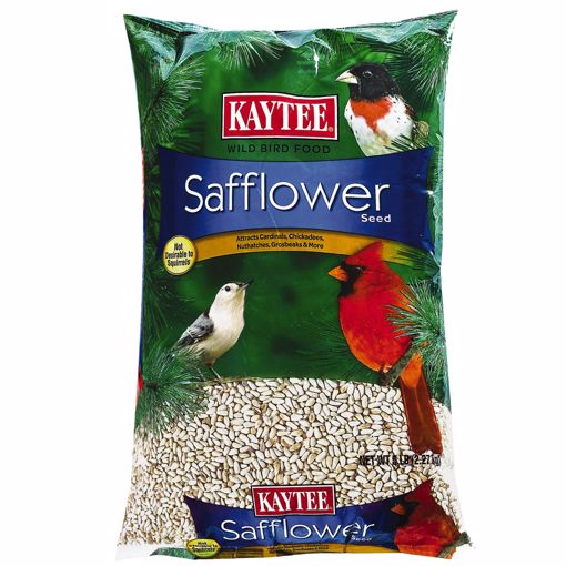 Picture of 5 LB. SAFFLOWER