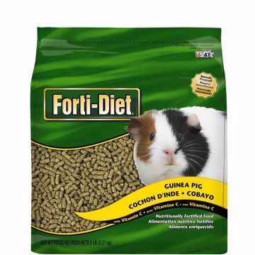 Picture of 5 LB. FORTI-DIET GUINEA PIG