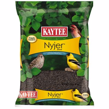 Picture of 3 LB. NYJER SEED