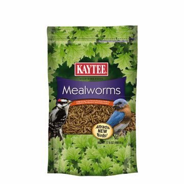 Picture of 17.6 OZ. MEALWORMS - POUCH