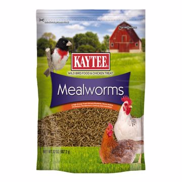 Picture of 32 OZ. MEALWORM - POUCH