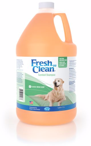 Picture of 1 GAL. FRESH N CLEAN SHAMPOO