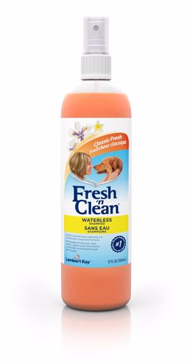 Picture of 12 OZ. FRESH N CLEAN WATERLESS SHAMPOO - CLASSIC FRESH SCENT