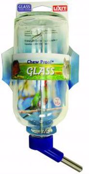 Picture of 16 OZ. GLASS WATER BOTTLE