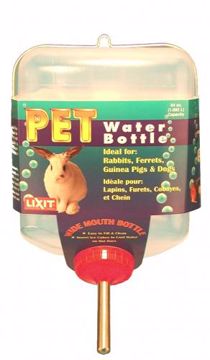 Picture of 64 OZ. WATER BOTTLE - RABBIT