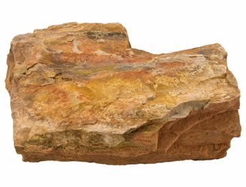 Picture of 25 LB. PETRIFIED WOOD - ASST