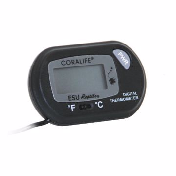 Picture of DIGITAL THERMOMETER - BATTERY