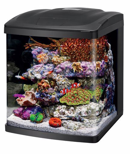 Picture of 16 CORALIFE BIOCUBE LED AQUARIUM