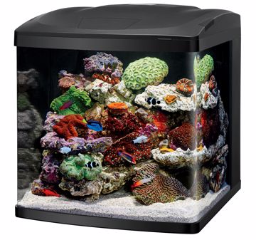 Picture of 32 CORALIFE BIOCUBE LED AQUARIUM