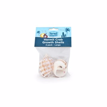Picture of 2 PK. HERMIT CRAB GROWTH SHELLS - LARGE