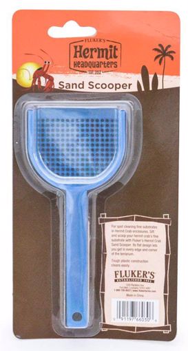 Picture of HERMIT CRAB SAND SCOOPER